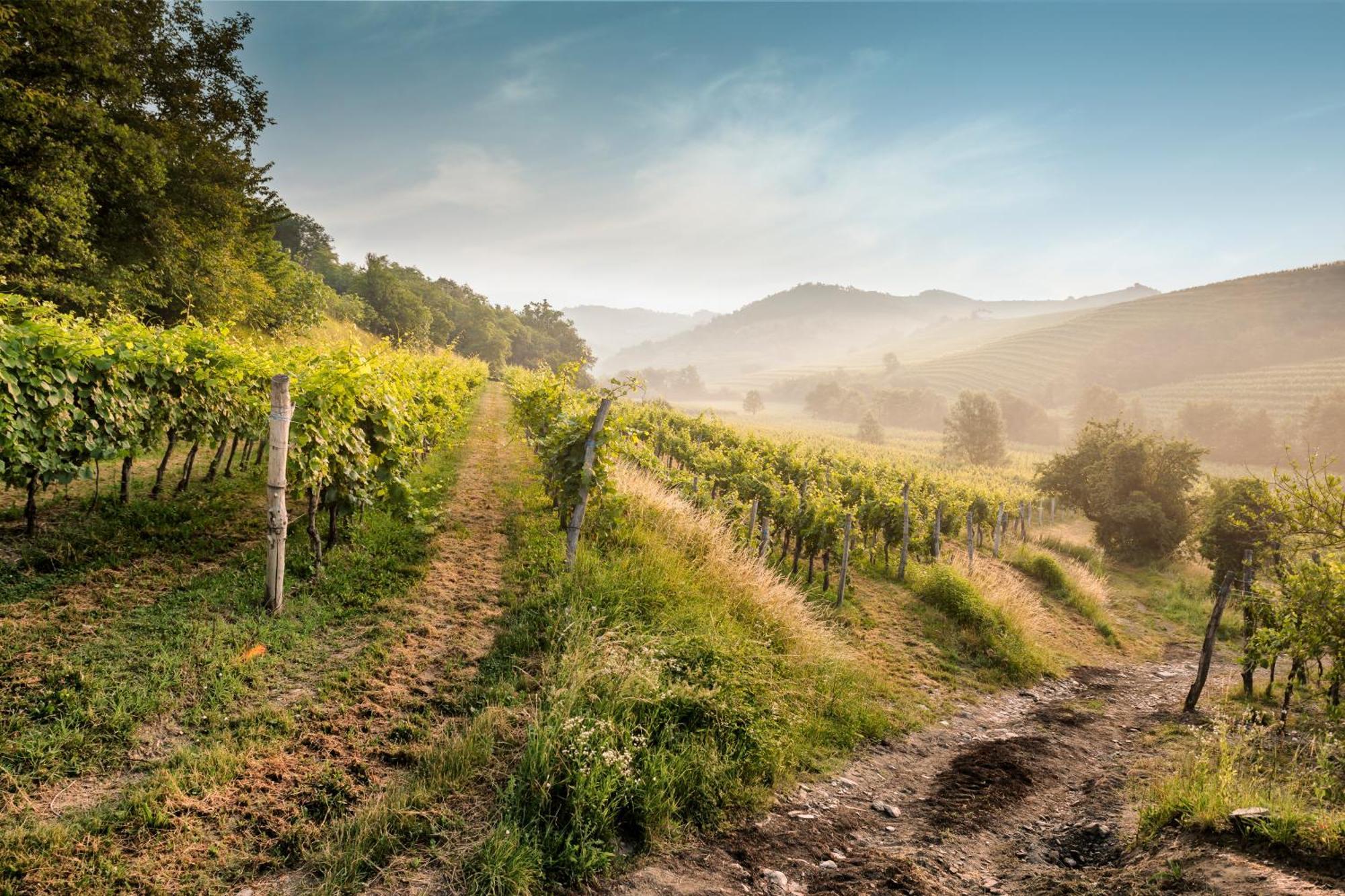 Kabaj Wine & Dine Otel Dobrovo Dış mekan fotoğraf